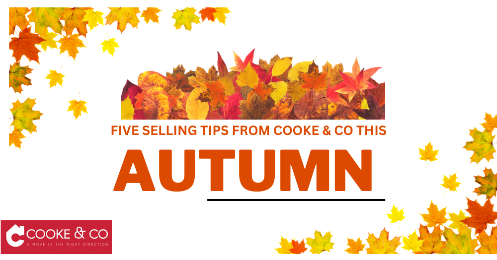 Five Autumn Tips 
