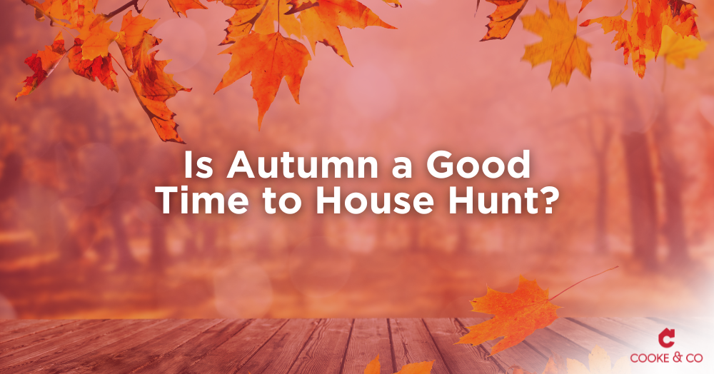 Autumn House Hunting in Thanet