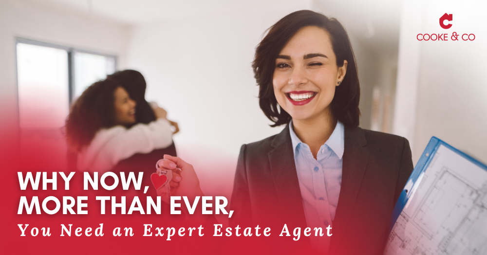 Why you need an expert agent