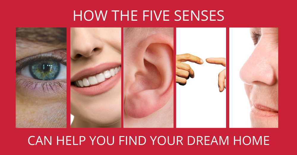 Five Senses